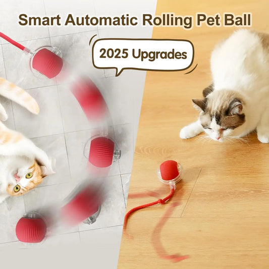 Interactive Cat Toy Ball – Automatic Fun That Keep Your Cat Busy & Protect Your Furniture