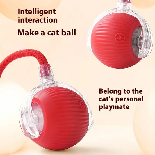 Interactive Cat Toy Ball – Automatic Fun That Keep Your Cat Busy & Protect Your Furniture